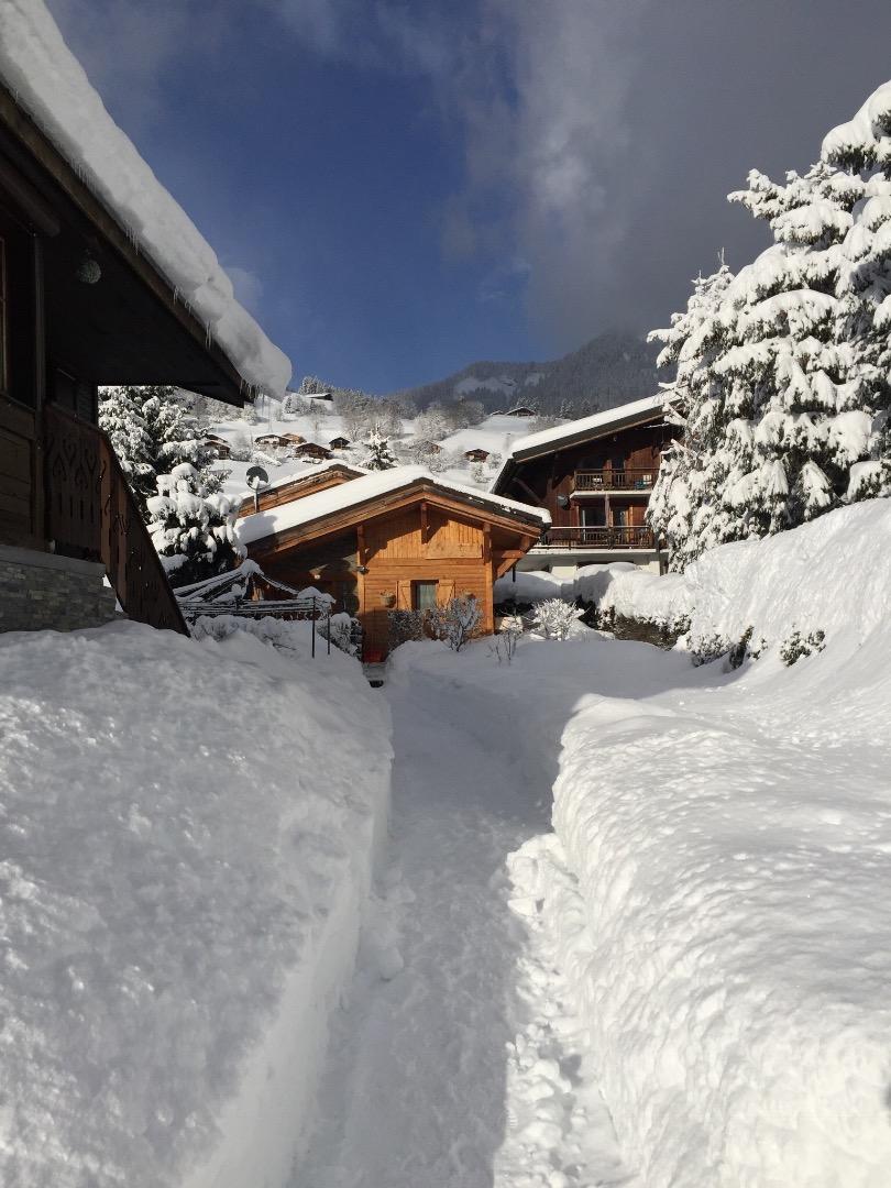 Location Chalet individuel LE CLOS DE L OURS Chalet 4 pièces Praz Sur